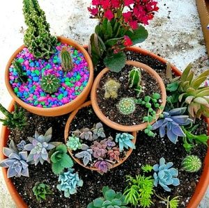 Meet your Posher, Aida